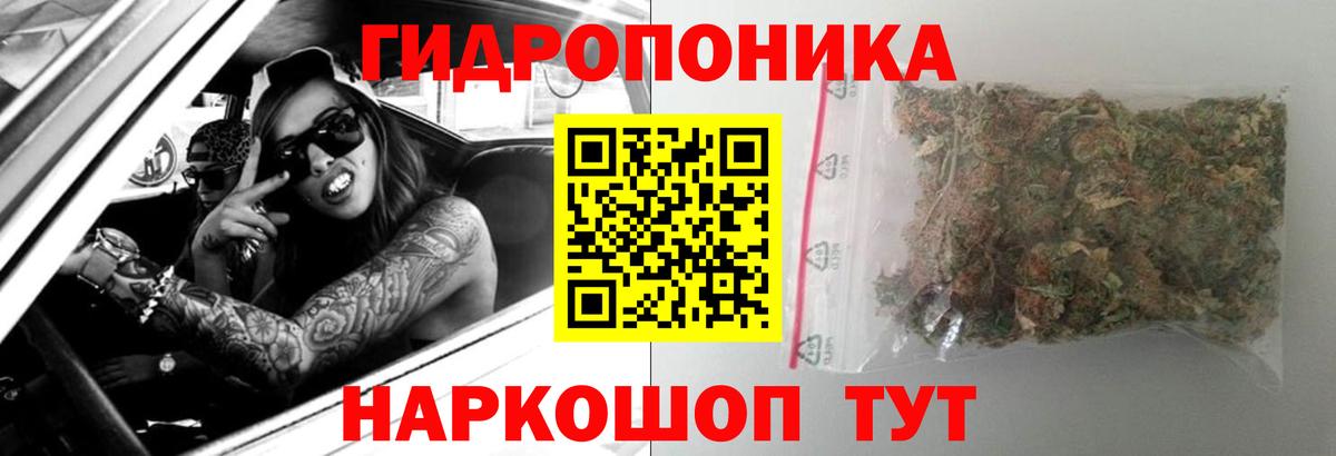 Каннабис индика Чехов